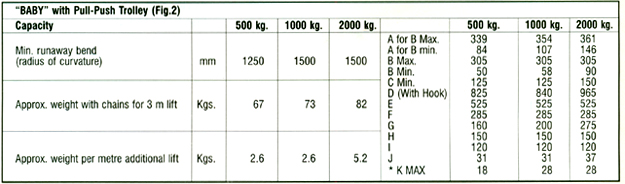 Indef Chain Electric Hoist